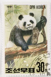 Postzegel Noord-Korea Ailuropoda melanoleuca Reuzenpanda
