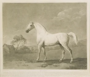 Mambrino, naar George Stubbs, 1788