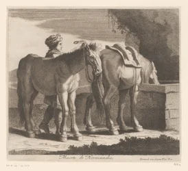 Drinkende paarden