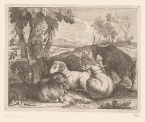 Schapen en geiten onder een boom