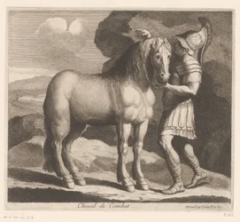 Soldaat tuigt een paard op