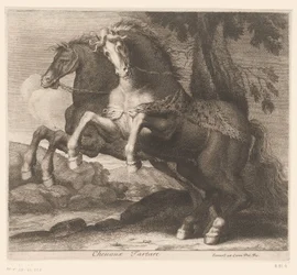 Steigerende paarden
