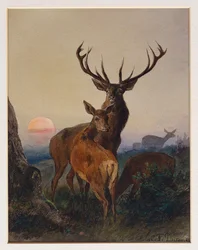 Een Hert met Herten in een Bebost Landschap bij Zonsondergang, 1865
