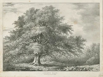 Lichfield - "Dr. Johnson
