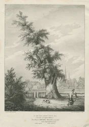Lichfield - 