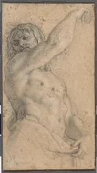 Studeren voor een Herm