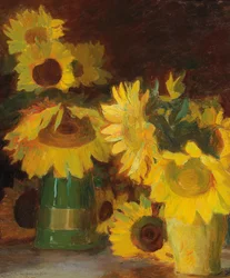 Frans:  Tournesols Zonnebloemen