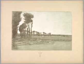 Suite de Landschappen: Landschap, Plaat 5, Remarque, Drie Tarwestengels