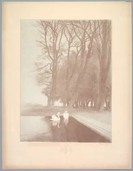 Suite de Paysages: Landschap, Plaat 6, Remarque, Lelies, 1892-1893
