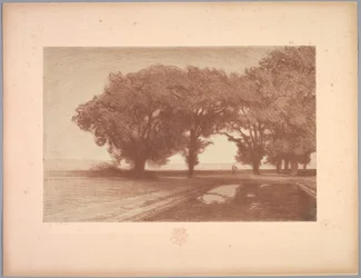 Suite de Landschappen: Landschap, Plaat 8, Remarque, Viooltjes