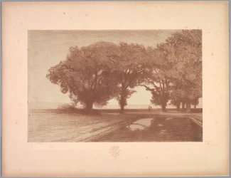 Suite de Paysages: Landschap, Plaat 8, Remarque, Viooltjes, 1892-1893