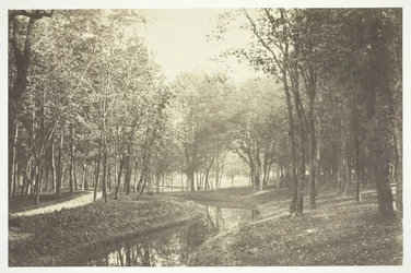 Zonder Titel, ca. 1850. [Bomen bij water in het Bois de Boulogne, een park in Parijs]