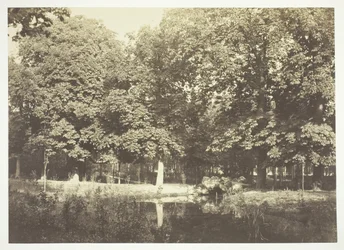 Zonder titel, ca. 1850. [Bomen bij water in het Bois de Boulogne, een park in Parijs]