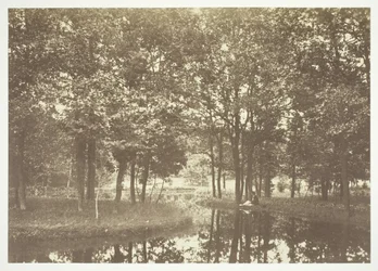 Zonder titel, ca. 1850. [Bomen bij water in het Bois de Boulogne, een park in Parijs]