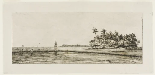 Oceanië: Vissen, nabij eilanden met palmen in de Uea of Wallis-groep, 1845