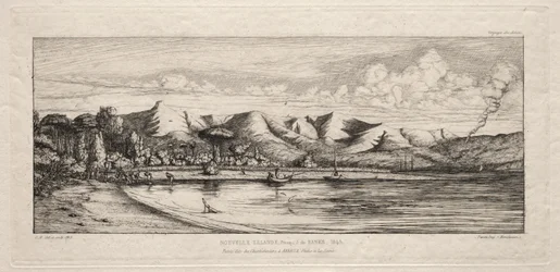 Seine Vissen bij Houtskoolbranderspunt, Akaroa, Banks