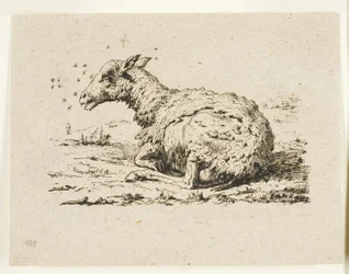 De Schapen en de Vliegen