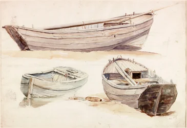 Studies van zalmboten