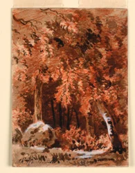 In het bos