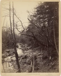 Op Baker River, Breezy Point, N.H.