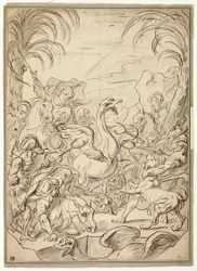 Struisvogeljacht