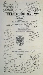 Goed om te tekenen uit "Les Fleurs du Mal", geannoteerd door Charles Baudelaire