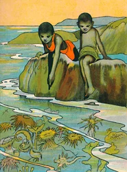Een tuin in de zee, 1912