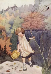 Onze Sentimentele Tuin: De Beuk