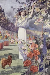 Onze Sentimentele Tuin: De Hemicycle