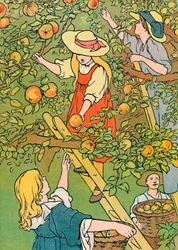 Het plukken van het fruit, 1912