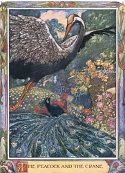 De pauw en de kraanvogel