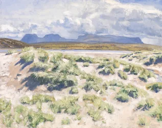 Duinen, Achnahaird, 2017 (olieverf op doek)