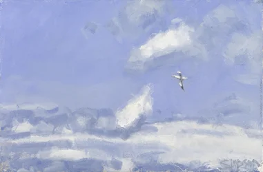 Jan-van-gent  wolken, 2016 (olieverf op doek)