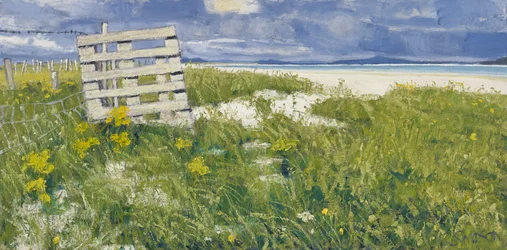 North Uist Grasses, 2013 (olieverf op doek)