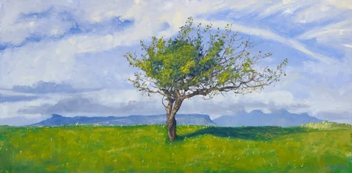West Coast Tree, 2015 (olieverf op doek)