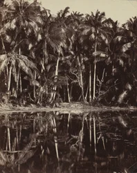 Tetiaroa - Een lagune van de Paumotu, 1880s of 1890s