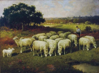 Een herder met zijn schapen in het veld