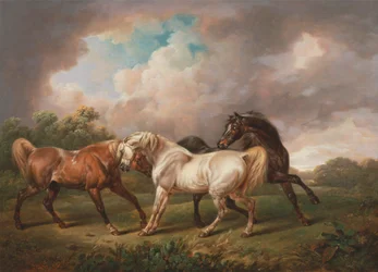 Drie Paarden in een Stormachtig Landschap
