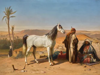 Een Arabier in de woestijn