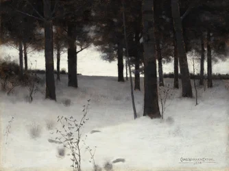 Bossen in de Winter