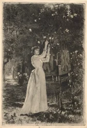 Een jonge vrouw die bloemen plukt van een boom