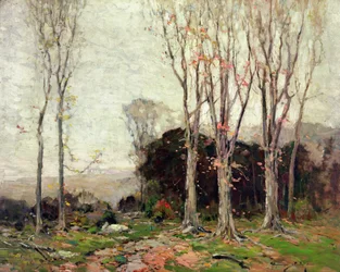 Het pad door de bergen