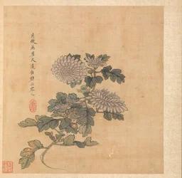 Schilderijen naar Oude Meesters: Chrysant