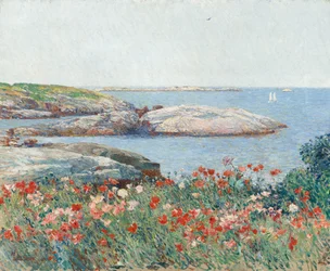 Klaprozen, eilanden van de Shoals