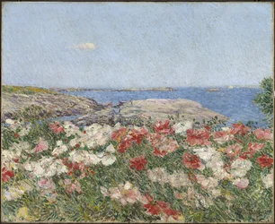 Klaprozen op de Eilanden van Shoals
