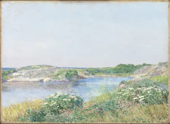 De kleine vijver, Appledore