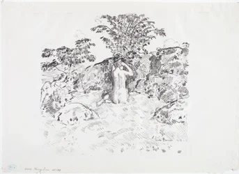Wilde Kersenboom
