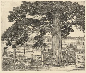 Grote Ceder, Wainscott, L. I., 1929