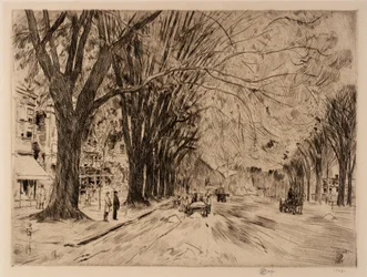 Easthampton Elms in mei