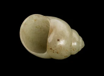 Beeld in de vorm van een schelp
